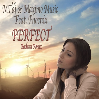 Perfect (With Phoenix) [Bachata Remix] - Single