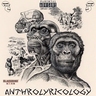 Anthrolyricology