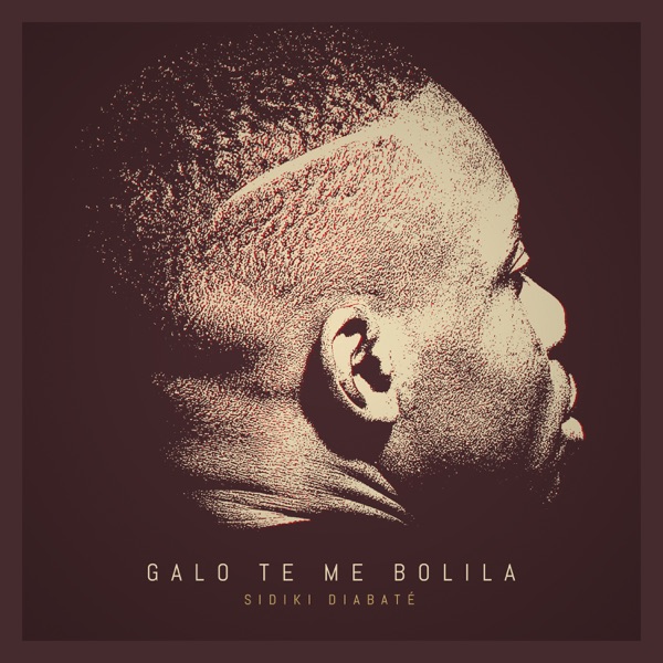 Galo Te Me Bolila - Single - Sidiki Diabate