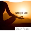 Tranquil Soul