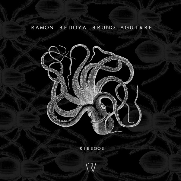 Riesgos - Single