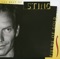 Sting - Fields Of Gold