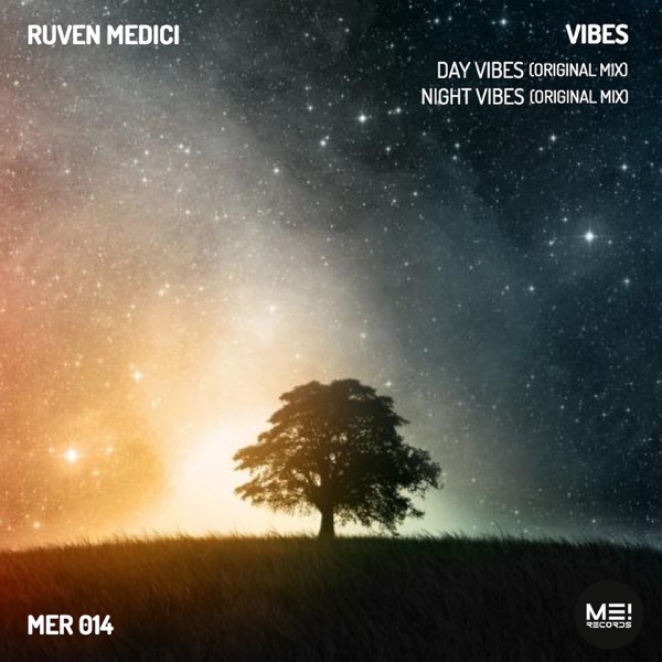 Vibes - Single