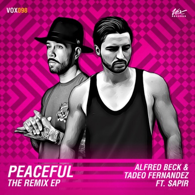 Peaceful (feat. Sapir Amar): The Remixes  - EP