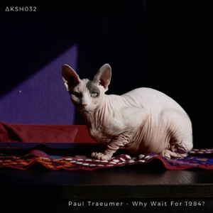 Why Wait for 1984? - Single