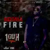 Aidonia