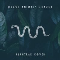 Hazey - Single - Plantrae