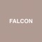 Falcon (feat. Raury) - Jaden lyrics