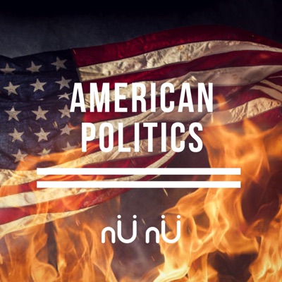 American Politics - Single