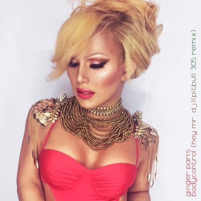 Bodycontrol (Hey Mr. Dj) [Pitbull 305 Remix] - Single