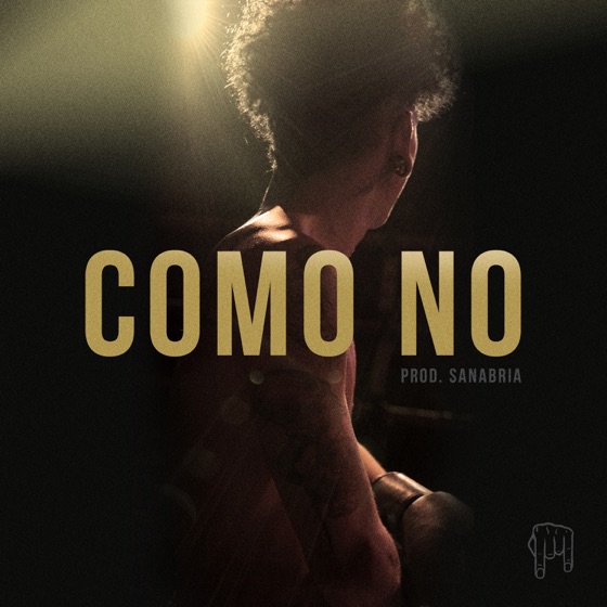 Cover artwork for Como No