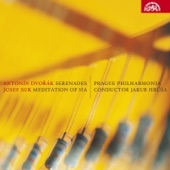 Serenade for Strings in E Major, Op. 22, B. 52: I. Moderato artwork