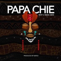 Why You Wan Hate - Single - Papa Chie