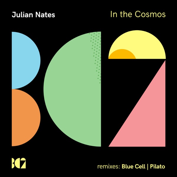 In the Cosmos