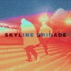 Skyline Brigade