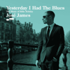 Yesterday I Had the Blues (The Music of Billie Holiday) - José James