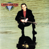 On Solid Ground - Larry Carlton