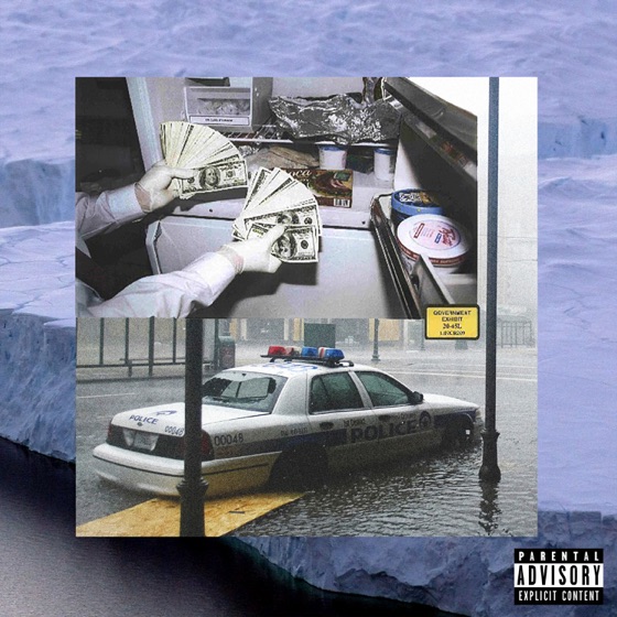 Cover artwork for Audubon