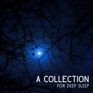 A Collection for Deep Sleep: 30 Healing Lullabies of Fairy, Amazing Peaceful Nature Sounds, Mindfulness Meditation, Relaxation Therapy
