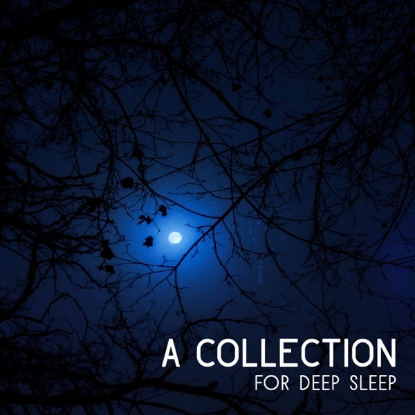 A Collection for Deep Sleep: 30 Healing Lullabies of Fairy, Amazing Peaceful Nature Sounds, Mindfulness Meditation, Relaxation Therapy