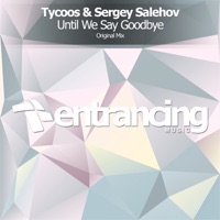 Until We Say Goodbye - Single - Tycoos & Sergey Salehov