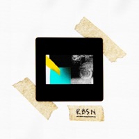 Sbsd (So Beautiful So Dutiful) - Single - Rbsn