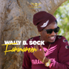 Wally B. Seck - Faramareen artwork