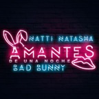 Amantes de una Noche