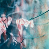 Glasshearted - Single - Enzalla & Aerith