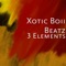 Skull Gang - Xotic Boii Beatz lyrics