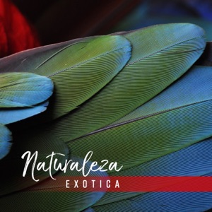 Naturaleza Exotica – Sonidos del Bosque y del Mar, Pájaros, Selva Tropical, Animales Nocturnos y Vida Salvajes para Relajación Profunda y Restauración Mental