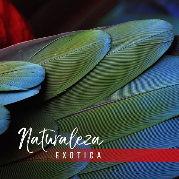 Naturaleza Exotica – Sonidos del Bosque y del Mar, Pájaros, Selva Tropical, Animales Nocturnos y Vida Salvajes para Relajación Profunda y Restauración Mental