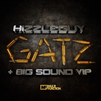 Gatz / Big Sound VIP - Single - Hizzleguy