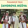 Fujarové trio - Hej, keď som ja valašil