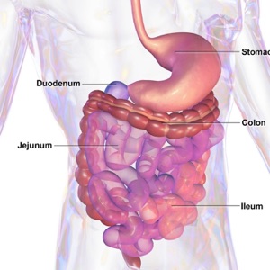 5 simple science-based tips to improve digestion