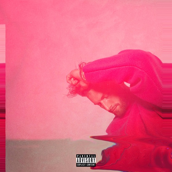 Cover artwork for Plot Twist (Remix) [feat. Hailee Steinfeld]