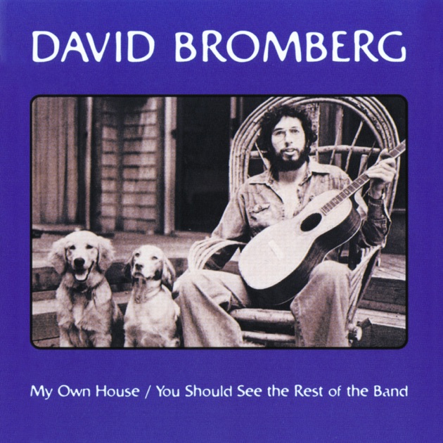 【正規通販】 Best The of Apple - Bromberg David by Album - Bromberg David 洋楽