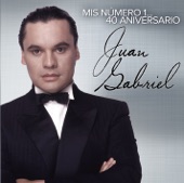 046 - Juan Gabriel ( He venido a pedirte perdón )