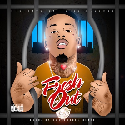 Fresh Out - Single