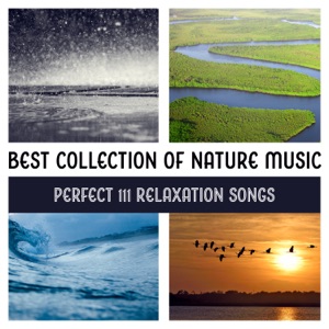Best Collection of Nature Music: Perfect 111 Relaxation Songs – Birds Singing, Soothing Waterfall, Summer Rain, Pleasant Wind, Tropical Ocean & Gentle Rivers
