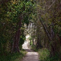 I Wish - Single - Rolando Frases