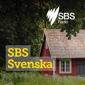 Svenska vinner SBS språktävling