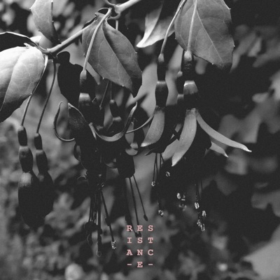 Resistance - Single
