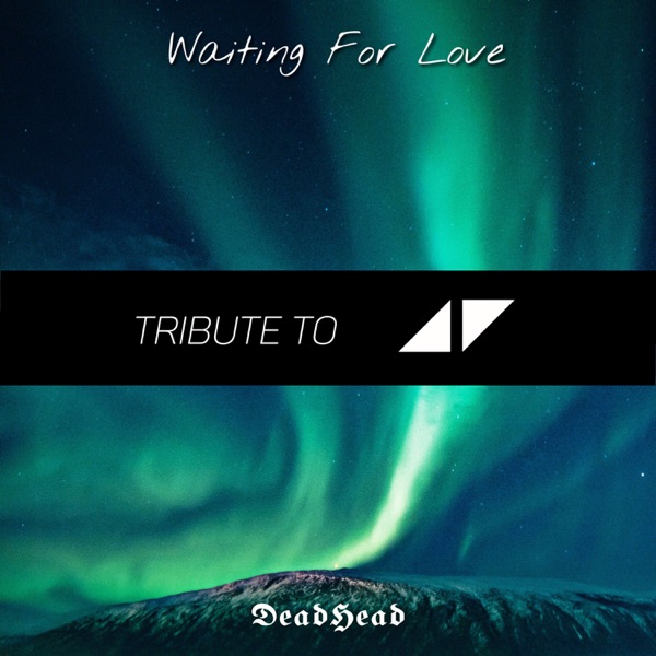 Avicii Waiting For Love