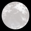 Endasilasie - Single