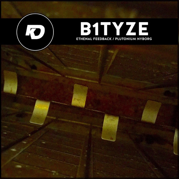 Ethenal Feedback / Plutonium Nyborg - Single