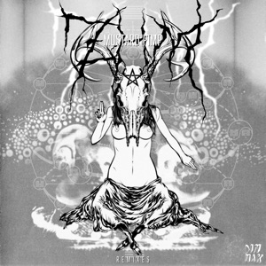 ZHM (Remixes)