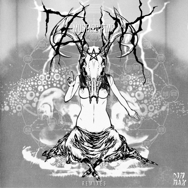 ZHM (Remixes)