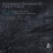 Ashen Light (BilY Remix) - Pablo Valls lyrics