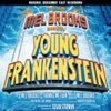 Young Frankenstein (Original Broadway Cast Recording)